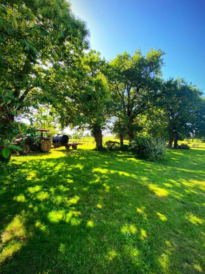 Au Coeur De La Nature Allaire Экстерьер фото